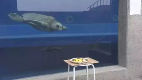 GWにGO！　日和佐うみがめ博物館カレッタ【徳島】