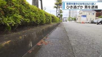 徳島市の会社員の男を逮捕　除草作業中の女性はね逃走した疑い【徳島】