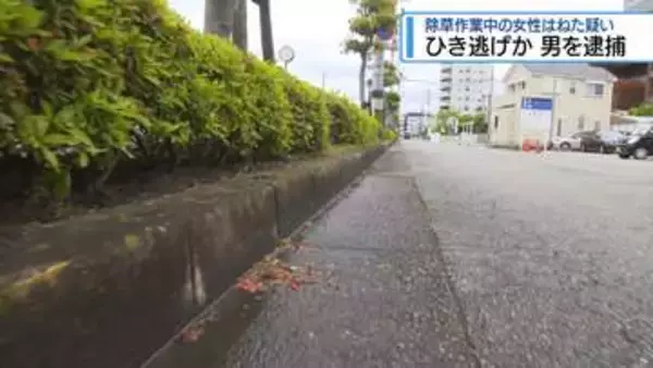 徳島市の会社員の男を逮捕　除草作業中の女性はね逃走した疑い【徳島】