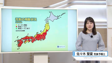 花粉の本格シーズン突入　辛い季節を乗り切る対策教えます【徳島】