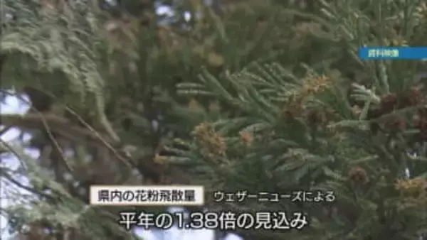 花粉の本格シーズン突入　辛い季節を乗り切る対策教えます【徳島】