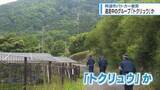 「逃走中のグループ「トクリュウ」か　阿波市のパトカー衝突【徳島】」の画像1