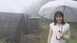 「シンビジウムを❝山上げ❞　暑さを避けて涼しい場所へ【徳島】」の画像1