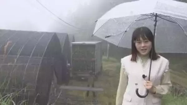 シンビジウムを❝山上げ❞　暑さを避けて涼しい場所へ【徳島】