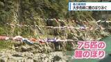 「春の風物詩　大歩危峡に鯉のぼり泳ぐ【徳島】」の画像1