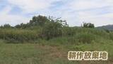 「「農地」を次世代につなぐ鍵は?　県内の「農地集積」の現状【徳島】」の画像1