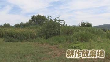 「農地」を次世代につなぐ鍵は?　県内の「農地集積」の現状【徳島】