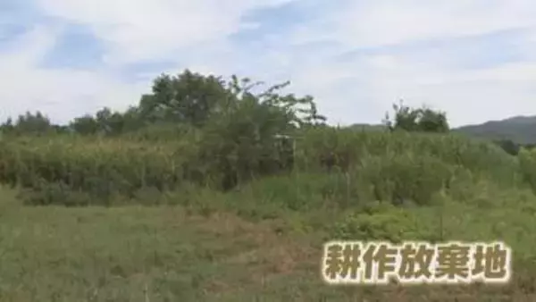 「農地」を次世代につなぐ鍵は?　県内の「農地集積」の現状【徳島】