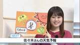 「【動画】30日も日中汗ばむ陽気　佐々木予報士の天気予報（29日：19:00）」の画像1