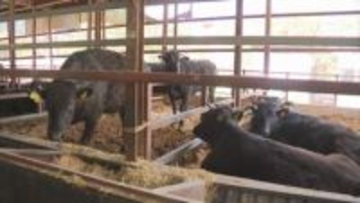 「こんなところにも…」　中東情勢“悪化”で県内企業への影響拡大【徳島】