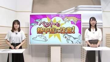 暑いのは人間だけじゃない　飼い主必見「ペットの熱中症」対策【徳島】