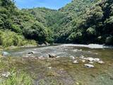 「鮎喰川で死亡の男性　死因は「溺水」と判明【徳島】」の画像1