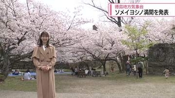 ソメイヨシノ満開を発表　徳島地方気象台【徳島】