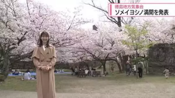 ソメイヨシノ満開を発表　徳島地方気象台【徳島】