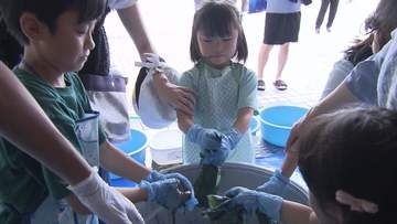 阿波踊りにあわせ　藍染め体験イベント【徳島】