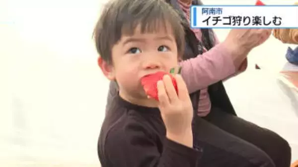 イチゴ狩り楽しむ　阿南市の農園【徳島】