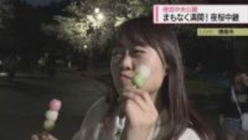 【動画】夜桜中継！4日は雨風強まる　佐々木予報士の天気予報（3日：19:00）【徳島】