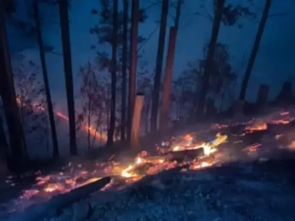 自衛隊ヘリなどが消火活動　那賀・海陽の町境で山火事【徳島】
