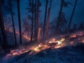 自衛隊ヘリなどが消火活動　那賀・海陽の町境で山火事【徳島】