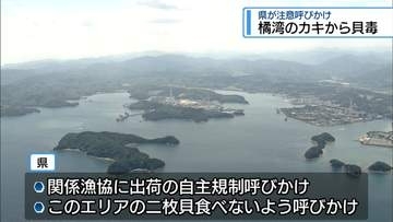 阿南・橘湾で採れた養殖カキから「麻痺性貝毒」　県が出荷の自主規制よびかけ【徳島】