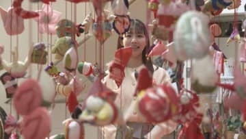 桃の節句前に「つるし雛飾り」　徳島市のアミコビル【徳島】