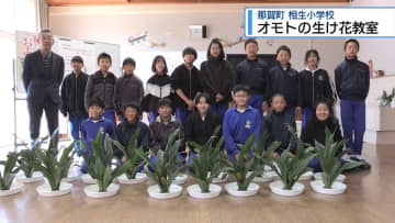 生産量日本一　相生小で「オモト」の生け花教室【徳島】