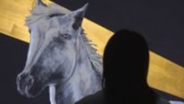 「干支の午に命吹き込む」　護国神社で巨大絵馬づくり【徳島】