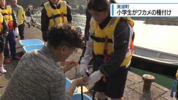 小学生が「明けの春姫」植え付け　美波町のブランドワカメ【徳島】