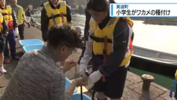 小学生が「明けの春姫」植え付け　美波町のブランドワカメ【徳島】