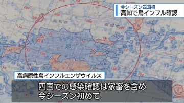 【四国で今季初】高知市で野鳥の死骸から鳥インフル　徳島県が対策よびかけ【徳島】