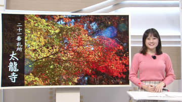 マメテン「太龍寺の紅葉」見ごろです！　佐々木予報士が散策【徳島】