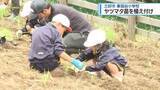 「全校児童6人でヤツマタの苗植え付け　三好市東祖谷【徳島】」の画像1