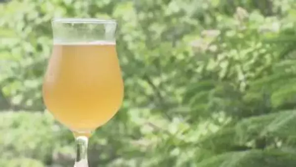 剣山ビールで乾杯　醸造所オープン【徳島】