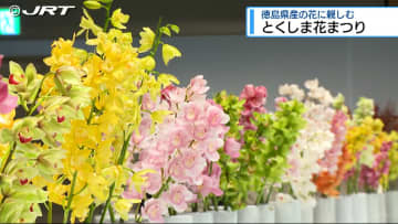 「とくしま花まつり」はじまる【徳島】