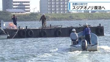 スジアオノリ復活へ漁場改善　硬くなった川底を掘り起こし【徳島】