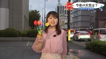 チューリップ見ごろ「花言葉は？」　 佐々木予報士が中継で出題！【徳島】
