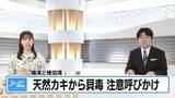 「天然カキから「麻痺性貝毒」検出　阿南市の橘湾・椿泊湾【徳島】」の画像1