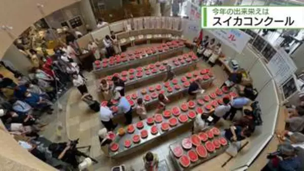 つるぎ町「スイカコンクール」　知事賞の栄冠は誰の手に【徳島】