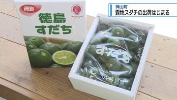 「露地物スダチ」出荷はじまる　神山町【徳島】
