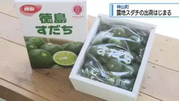 「露地物スダチ」出荷はじまる　神山町【徳島】