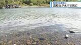 「阿南市の那賀川で高校生の水死体　バイトから戻らず捜索【徳島】」の画像1