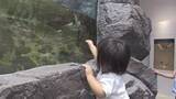 「お盆休みで観光客続々　県南の観光地にぎわう【徳島】」の画像1