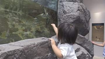 お盆休みで観光客続々　県南の観光地にぎわう【徳島】