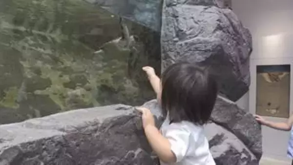 お盆休みで観光客続々　県南の観光地にぎわう【徳島】