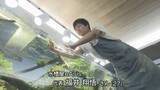 「自然をそのまま水槽に　「水の箱庭」鳴門に達人【徳島】」の画像1