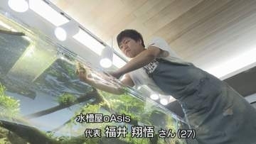 自然をそのまま水槽に　「水の箱庭」鳴門に達人【徳島】