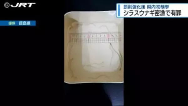 シラスウナギ密漁で有罪判決　罰則が強化されてから県内初の検挙【徳島】