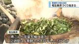 「那賀町で「相生晩茶」づくり始まる　けんみんBOXから【徳島】」の画像1