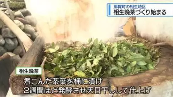 那賀町で「相生晩茶」づくり始まる　けんみんBOXから【徳島】