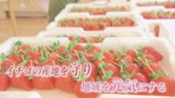 イチゴとつくる町の未来　東みよし町が新たな町おこし【徳島】